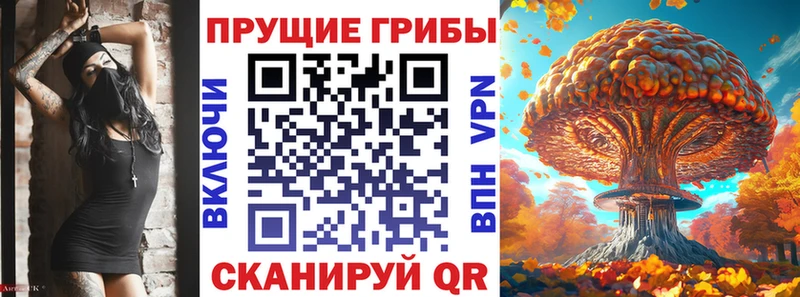 Псилоцибиновые грибы Magic Shrooms  Купить закладки  Высоцк 